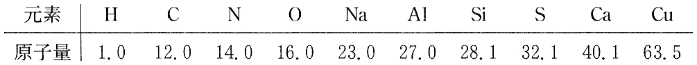 p16a