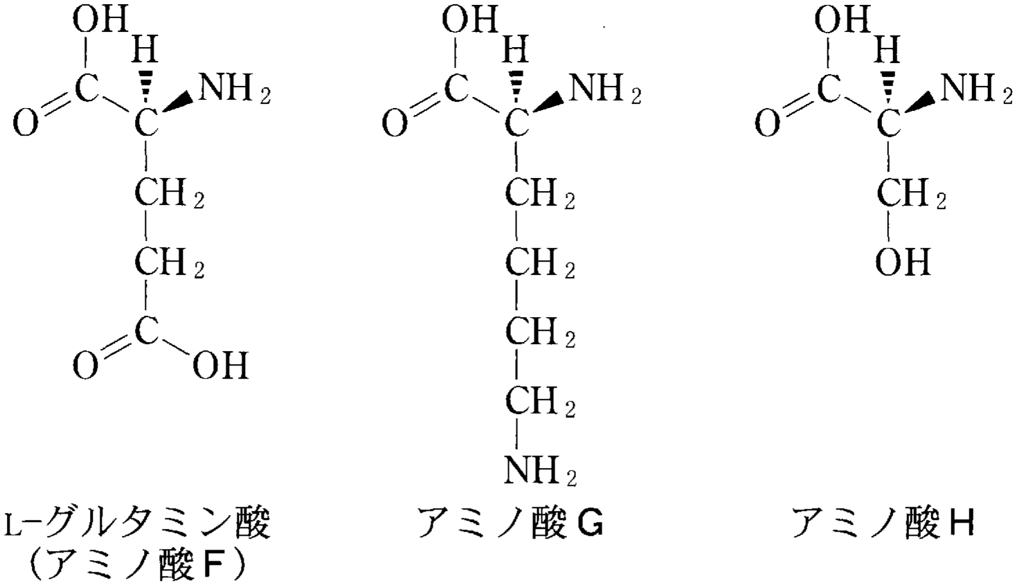 図3—3　L-グルタミン酸（アミノ酸F）およびアミノ酸G，Hの構造式（この表記法において，不斉炭素原子に結合したHは紙面の奥に，NH_2 は紙面の手前にある）