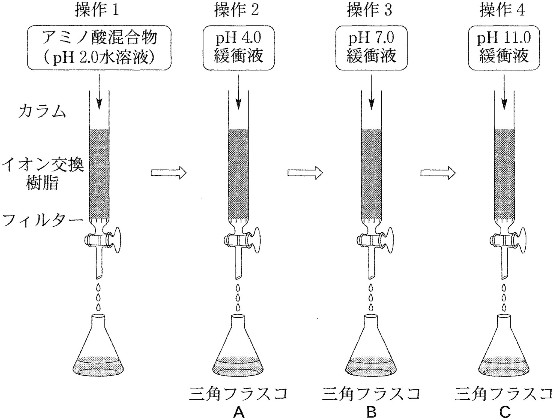 図3—4　イオン交換樹脂を用いたアミノ酸の分離
