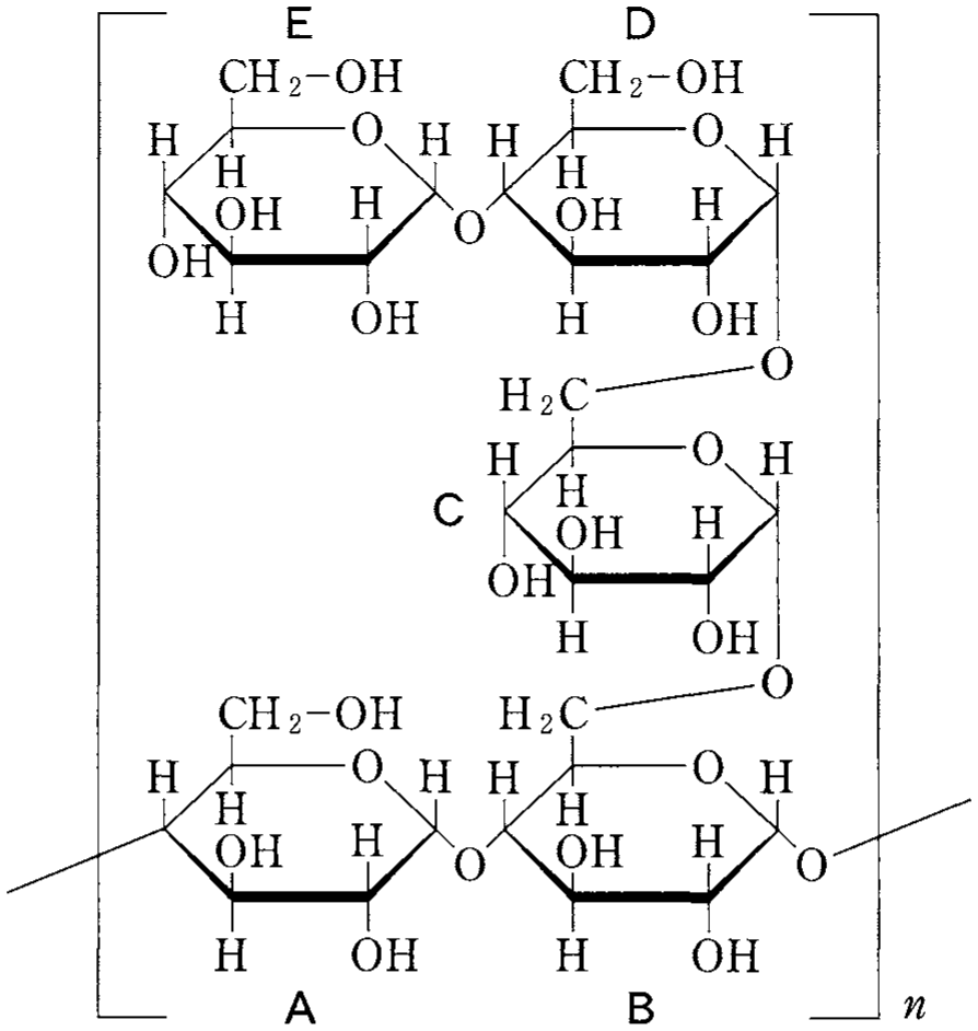 図3—2　ポリマー分子P1の構造
