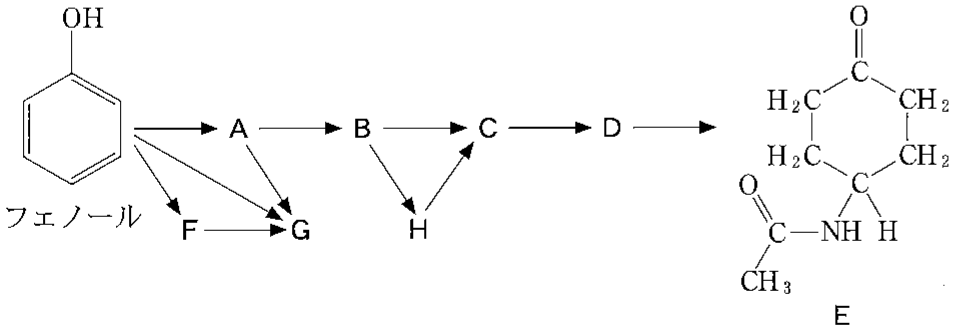 p24b