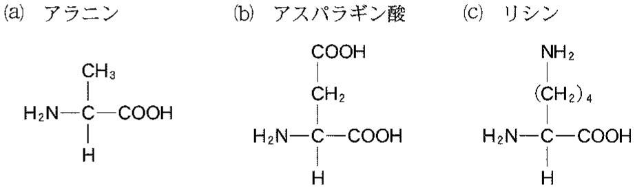 図2—3　アミノ酸の構造式