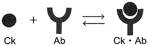 図3—4　CkとAbの反応の模式図