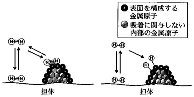 図3—3　N_2（左）および H_2（右）の触媒表面への吸着（断面図）