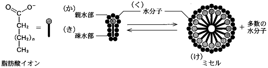図2—3　ミセルの形成の模式図
