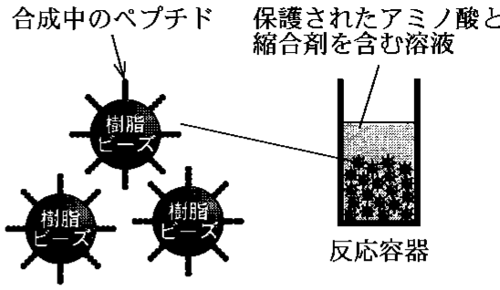 図3—5　ペプチド固相合成中の反応容器の様子