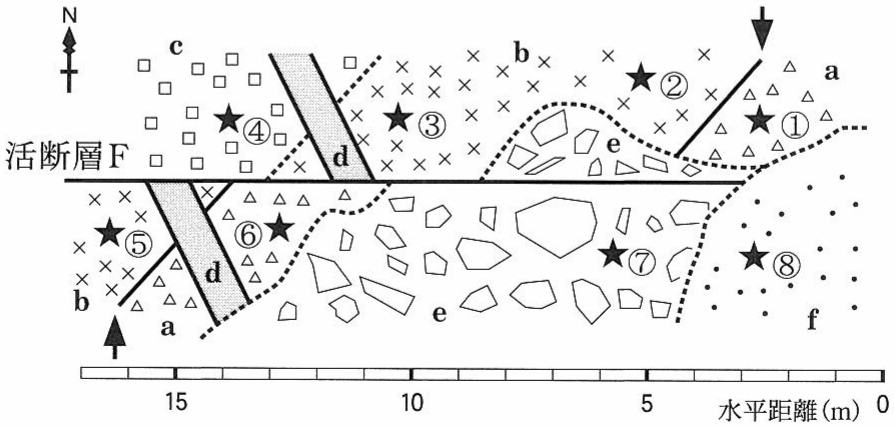 図3—1　活断層Fとそれに接する地層のはぎとりスケッチ。点線は不整合を示す。
