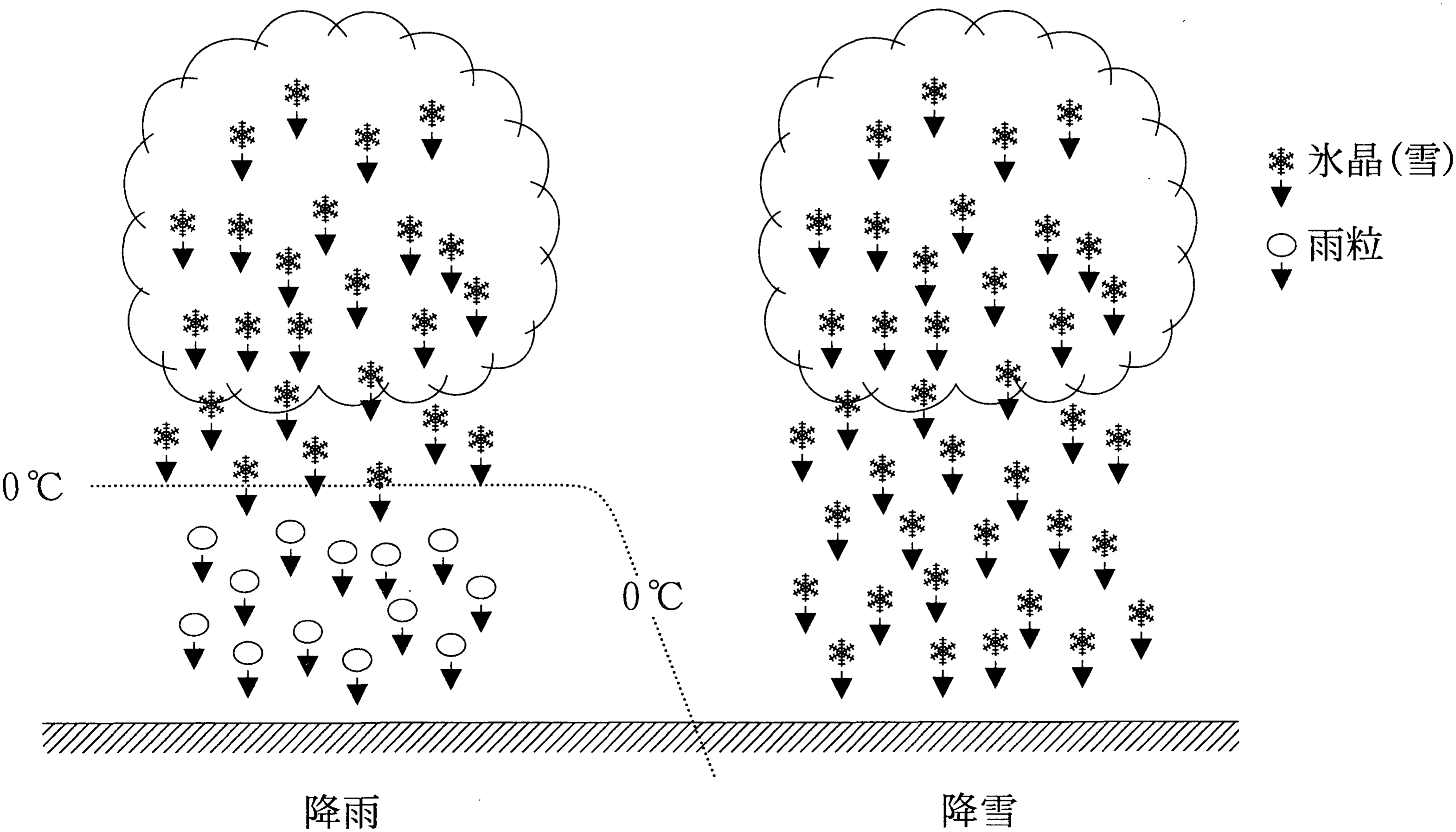 図2—2　冷たい雨（氷晶雨）による降雨および降雪が観測される状況を示す模式図