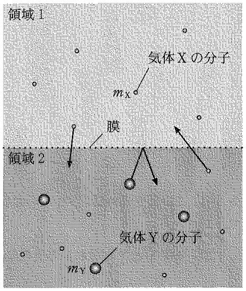 図3—2　(膜近傍の拡大図)